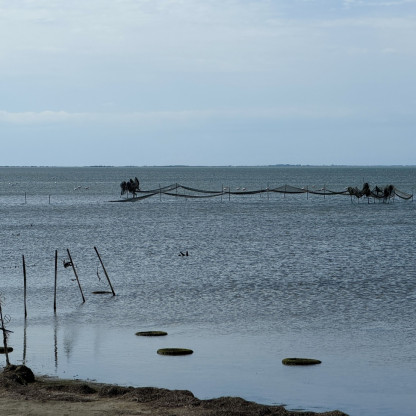 Séjour ballade en Camargue