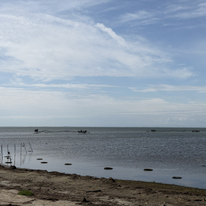 Séjour ballade en Camargue