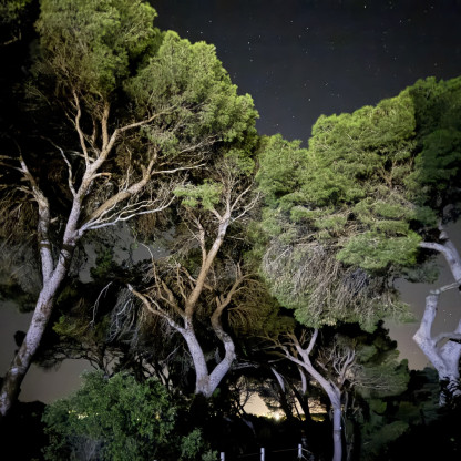 Séjour ballade en Camargue